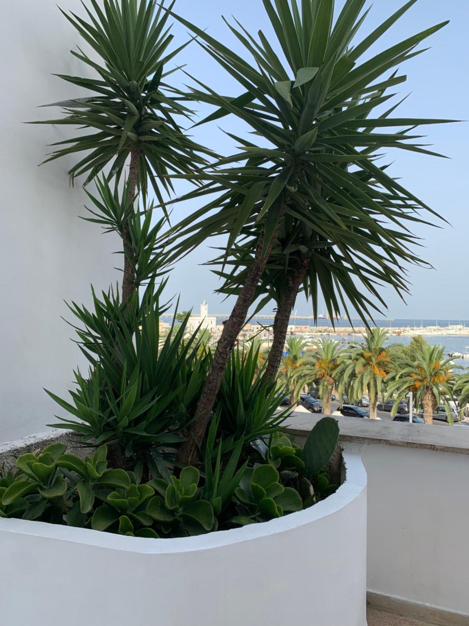 Terrazza Diomede- Manfredi Homes & Villas Manfredonia Buitenkant foto